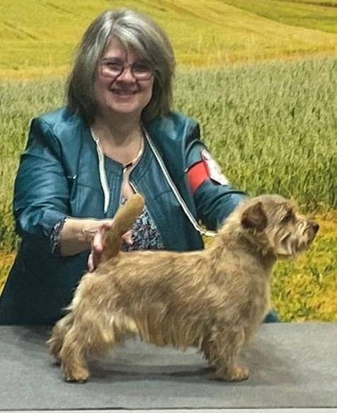 CH. allright Sweet scotch